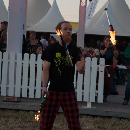 Nova Rock Festival 2014 - Day 3 @ Pannonia Fields II - Part I