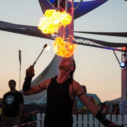 Nova Rock Festival 2014 - Day 3 @ Pannonia Fields II - Part I