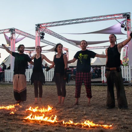 Nova Rock Festival 2014 - Day 3 @ Pannonia Fields II - Part I