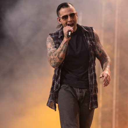 Nova Rock Festival 2014 - Day 3 @ Pannonia Fields II Part II