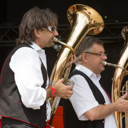 Nova Rock Festival 2014 - Day 3 @ Pannonia Fields II Part II