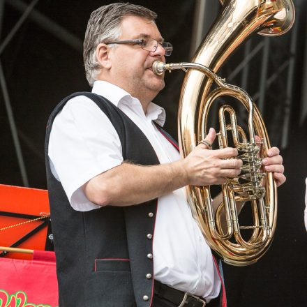 Nova Rock Festival 2014 - Day 3 @ Pannonia Fields II Part II
