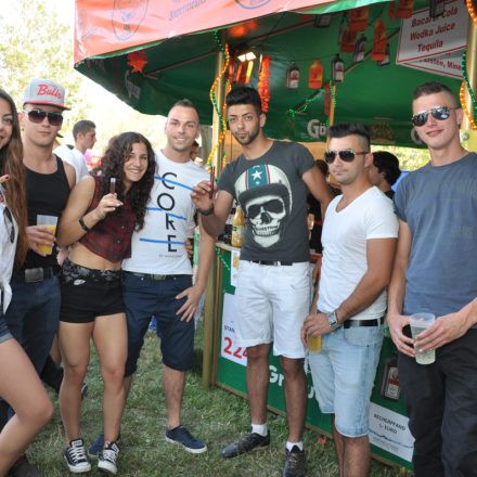 Donauinselfest 2014 - Tag 1 - Part I @ Donauinsel
