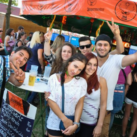 Donauinselfest 2014 - Tag 1 - Part I @ Donauinsel