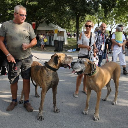Donauinselfest 2014 - Tag1 - PartII @ Donauinsel