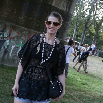 Donauinselfest 2014 - Tag1 - PartII @ Donauinsel