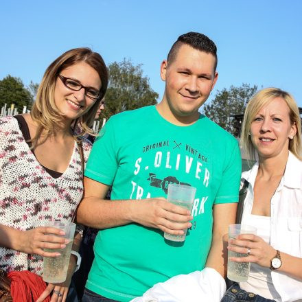 Donauinselfest 2014 - Tag1 - PartII @ Donauinsel