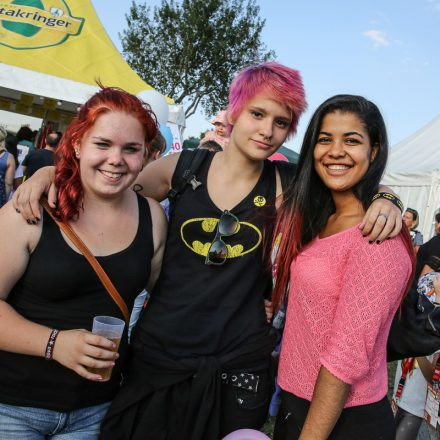 Donauinselfest 2014 - Tag1 - PartII @ Donauinsel