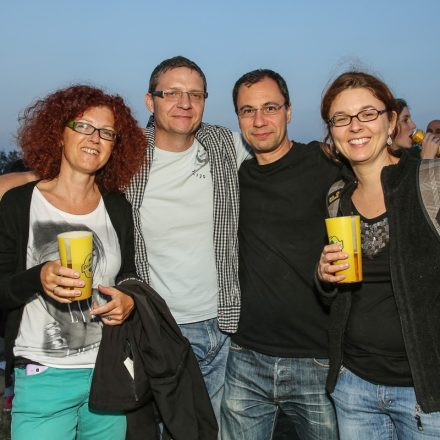 Donauinselfest 2014 - Tag1 - PartII @ Donauinsel