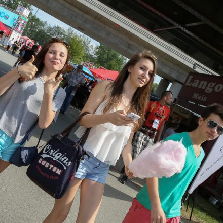 Donauinselfest 2014 - Tag1 - PartII @ Donauinsel