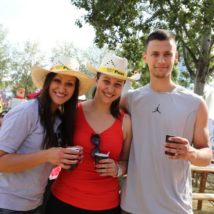 Donauinselfest 2014 - Tag1 - PartII @ Donauinsel