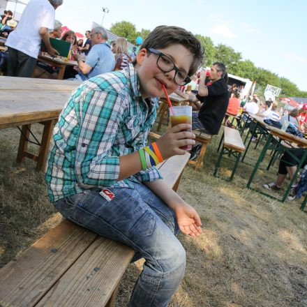 Donauinselfest 2014 - Tag1 - PartII @ Donauinsel