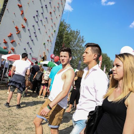 Donauinselfest 2014 - Tag1 - PartII @ Donauinsel