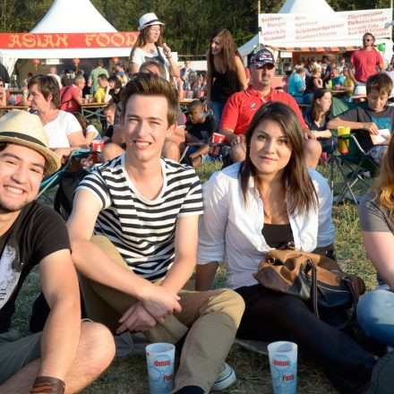Donauinselfest 2014 -Tag 1 - Part IV @ Donauinsel