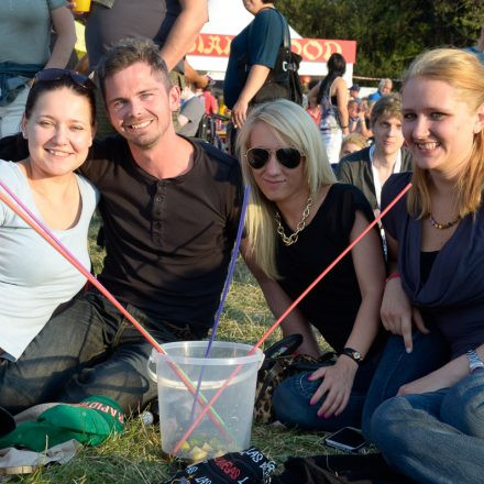 Donauinselfest 2014 -Tag 1 - Part IV @ Donauinsel