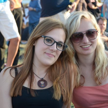 Donauinselfest 2014 -Tag 1 - Part IV @ Donauinsel