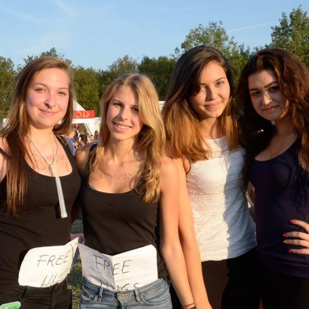 Donauinselfest 2014 -Tag 1 - Part IV @ Donauinsel