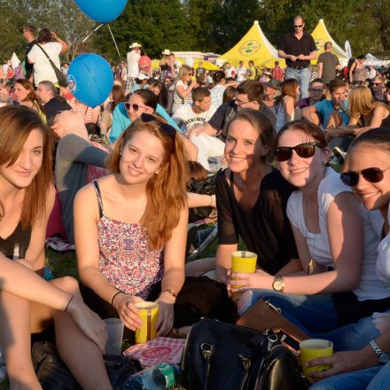 Donauinselfest 2014 -Tag 1 - Part IV @ Donauinsel
