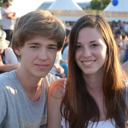 Donauinselfest 2014 -Tag 1 - Part IV @ Donauinsel