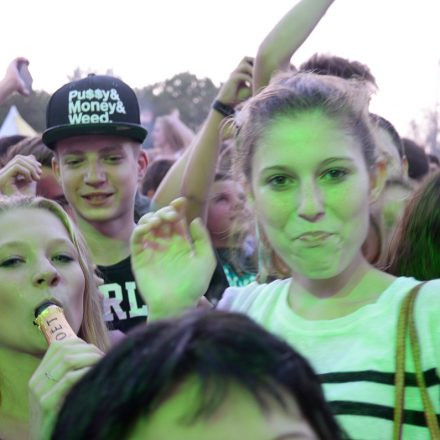 Donauinselfest 2014 -Tag 1 - Part IV @ Donauinsel