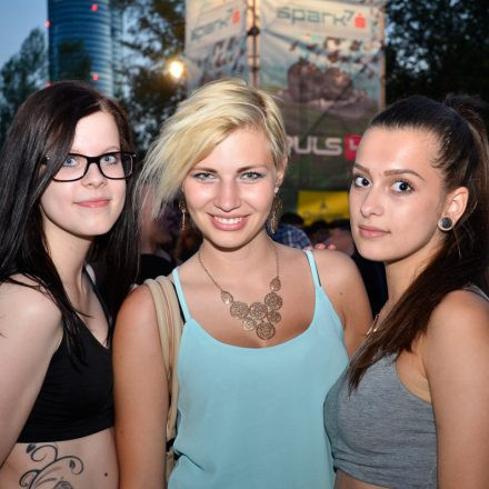 Donauinselfest 2014 -Tag 1 - Part IV @ Donauinsel