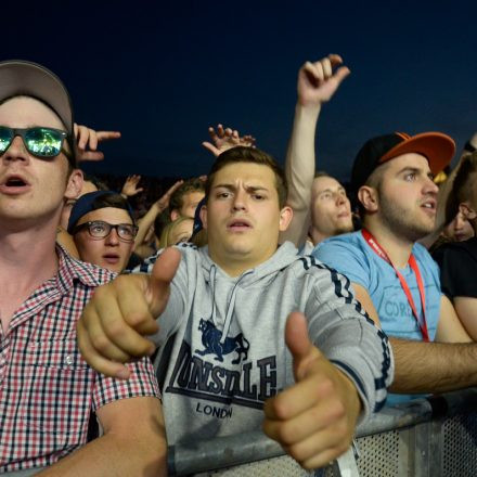 Donauinselfest 2014 -Tag 1 - Part IV @ Donauinsel