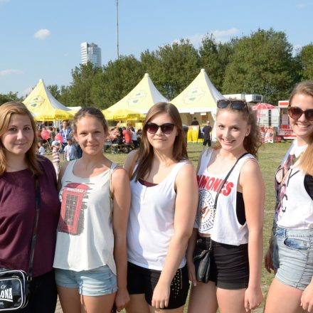 Donauinselfest 2014 -Tag 1 - Part IV @ Donauinsel