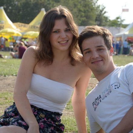 Donauinselfest 2014 -Tag 1 - Part IV @ Donauinsel