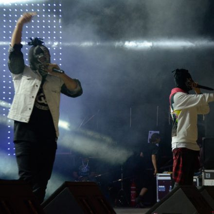 Donauinselfest 2014 -Tag 1 - Part IV @ Donauinsel