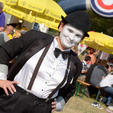 Donauinselfest 2014 -Tag 1 - Part IV @ Donauinsel