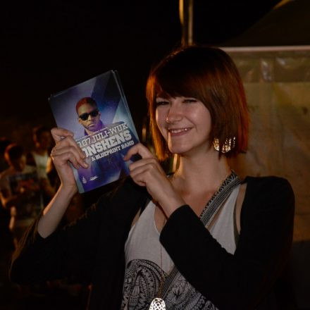 Donauinselfest 2014 -Tag 1 - Part IV @ Donauinsel