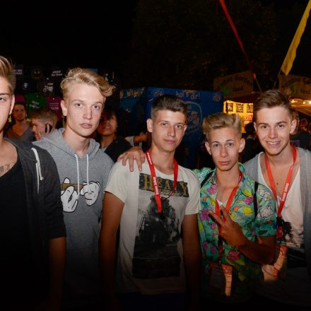 Donauinselfest 2014 -Tag 1 - Part IV @ Donauinsel