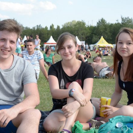 Donauinselfest 2014 -Tag 1 - Part IV @ Donauinsel