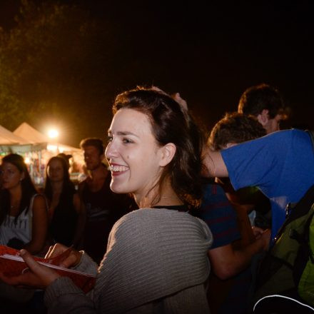 Donauinselfest 2014 -Tag 1 - Part IV @ Donauinsel