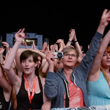 Donauinselfest 2014 -Tag 1 - Part IV @ Donauinsel