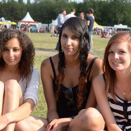 Donauinselfest 2014 -Tag 1 - Part IV @ Donauinsel