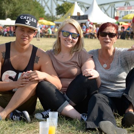 Donauinselfest 2014 -Tag 1 - Part IV @ Donauinsel