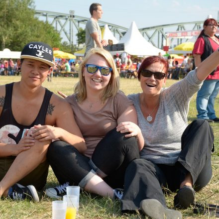 Donauinselfest 2014 -Tag 1 - Part IV @ Donauinsel