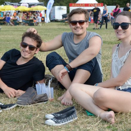 Donauinselfest 2014 -Tag 1 - Part IV @ Donauinsel