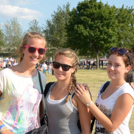 Donauinselfest 2014 -Tag 1 - Part IV @ Donauinsel