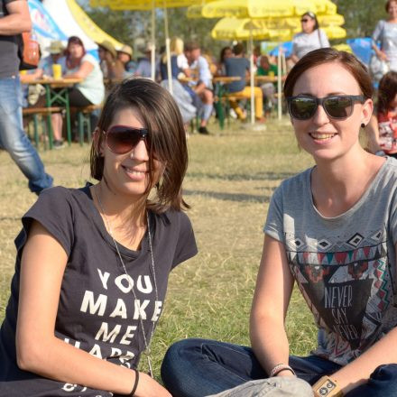 Donauinselfest 2014 -Tag 1 - Part IV @ Donauinsel