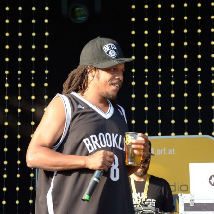 Donauinselfest 2014 -Tag 1 - Part IV @ Donauinsel