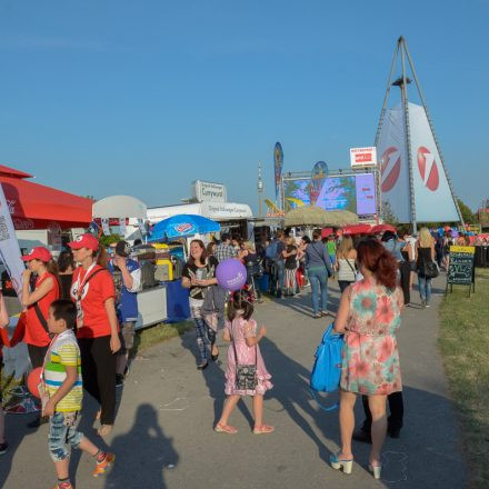 Donauinselfest 2014 -Tag 1 - Part IV @ Donauinsel