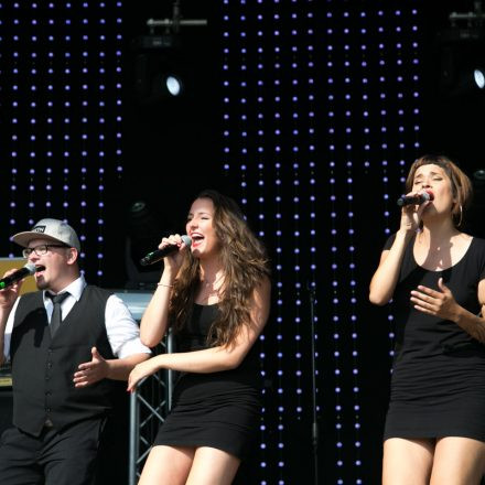 Donauinselfest 2014 - Tag1 - Part V @ Donauinsel