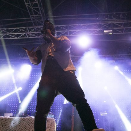 Donauinselfest 2014 - Tag1 - Part V @ Donauinsel