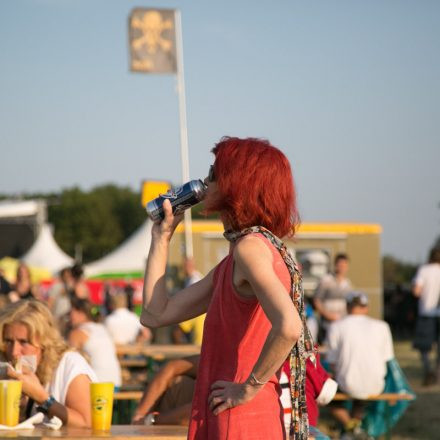 Donauinselfest 2014 - Tag1 - Part V @ Donauinsel