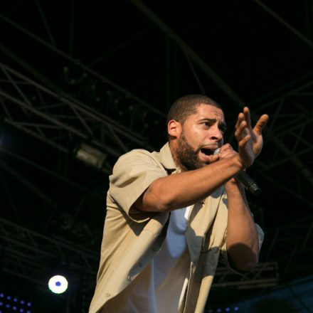 Donauinselfest 2014 - Tag1 - Part V @ Donauinsel