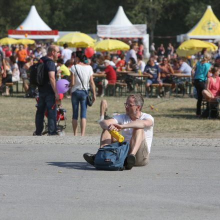 Donauinselfest 2014 - Tag2 - PartI @ Donauinsel