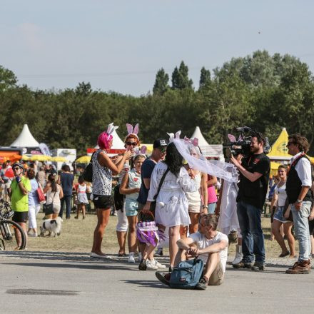 Donauinselfest 2014 - Tag2 - PartI @ Donauinsel