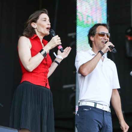 Donauinselfest 2014 - Tag2 - PartI @ Donauinsel